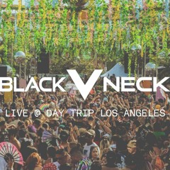 Black V Neck Live @ Day Trip LA '23