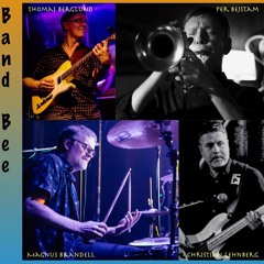 Frygo / Tee Bee Project (Band Bee)