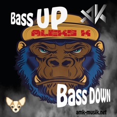 BassUp Bass Down