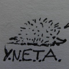 Yneta