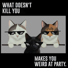 Purrromona & MOptiCat schrubben Katzen - hart & zart