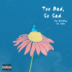 Too Bad, So Sad. (feat.st4r)