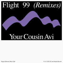 Please Wait (Ta-ku, matt mcwaters) & Masego - Flight 99 (Your Cousin Avi Remix)