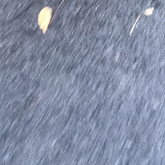 thirty-two: 14 / nootropix