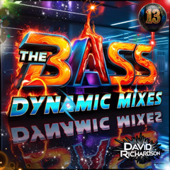The Bass Dynamic Mixes / #13 / EDM House