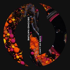 Second Nature - Can't Go Back
