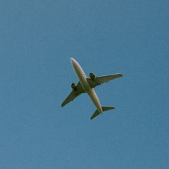 Set For Flight