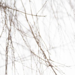 Come Fly With Us (disquiet0643)