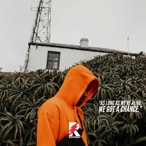 REVOREV - Fifaoverhoes