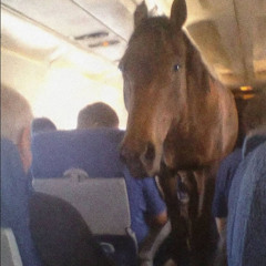 poin poin poin poin poin