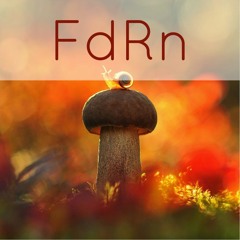 FdRn || Fear Nothing