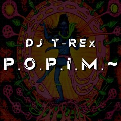 DJ T-REx - P.O.P.I.M.~