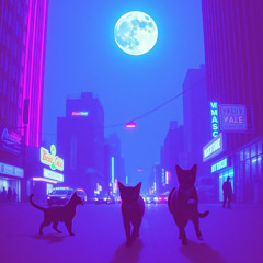 I'll catch your feline gaze
