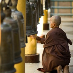 Find & rest in your STILL POINT for tranquility through this Mindfulness Meditation