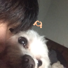 자자_demo