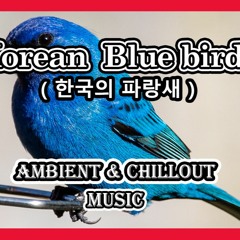 Korean bluebird - Ambient & Emotional Chillout Music
