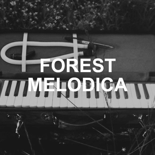 The 2024 office melodica