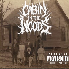 struggles of bipolar disorder