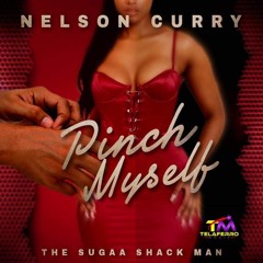 Nelson Curry-Pinch Myself