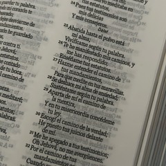 sera dios kienme bendice prod mndp