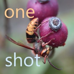 One shot