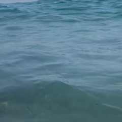 Deep Dive