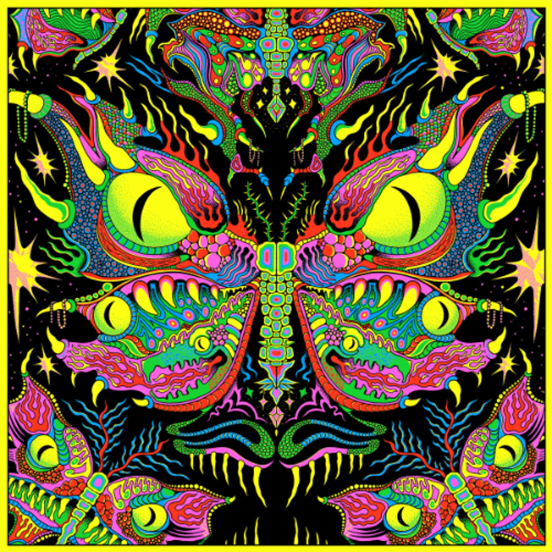 Stream King Gizzard & The Lizard Wizard - Live in New
