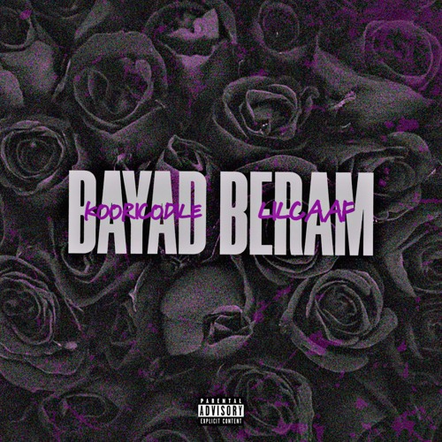 Bayad beram  Kooricodile x Lilcaaf