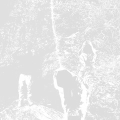 Bonnie & Clyde (ft. Hallelujahserq)