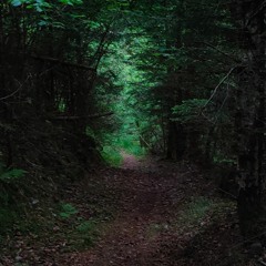 secret path_20230605