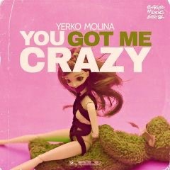 Yerko Molina - You Got Me Crazy ( Liran Shoshan Remix )
