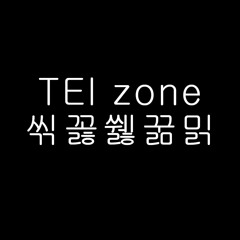 TEI Bupyeong ZONE - inst