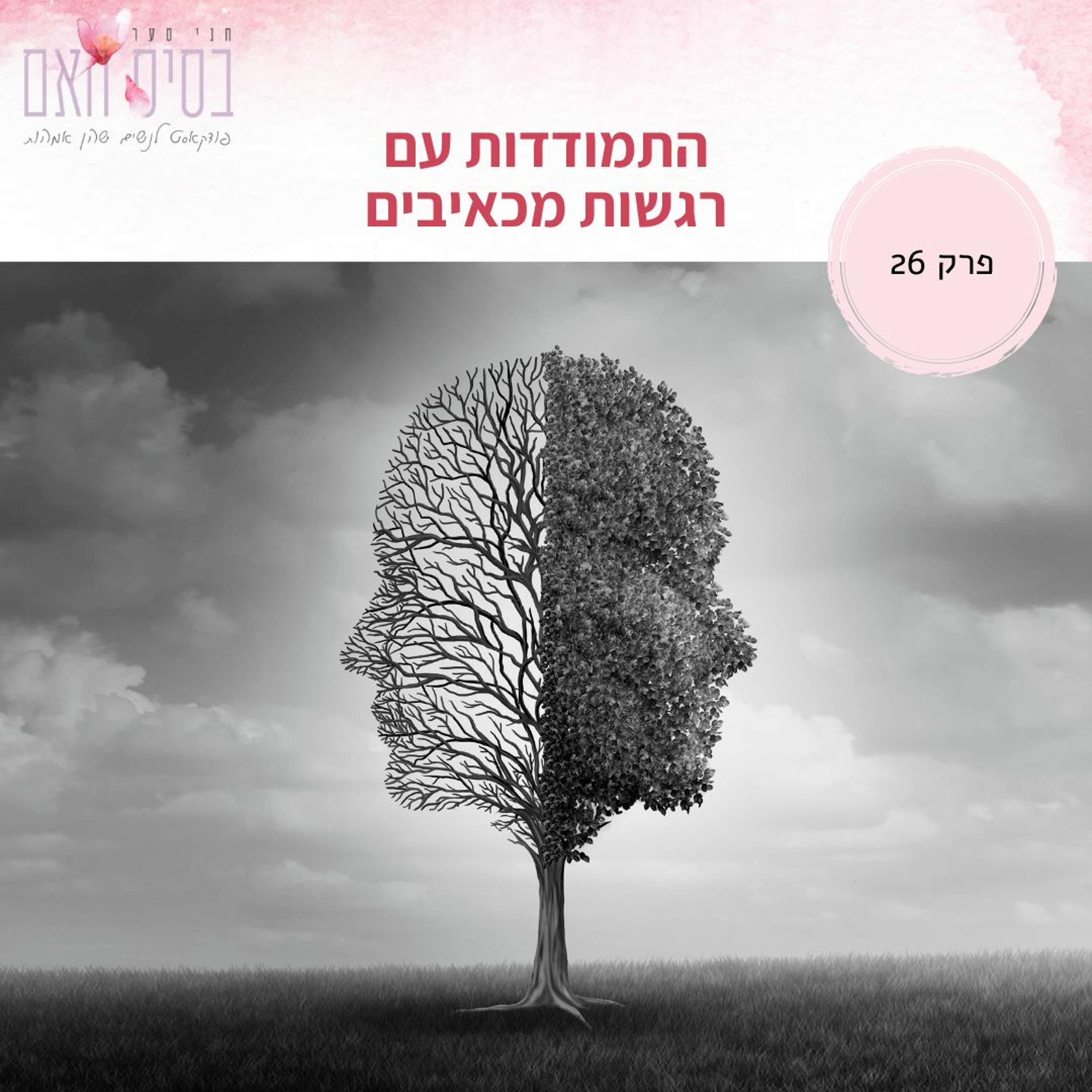 בסיס האם 26- התמודדות עם רגשות מכאיבים
