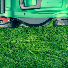 The Lawn Association's David Hedges-Gower lifts the lid on the turf and lawncare industry