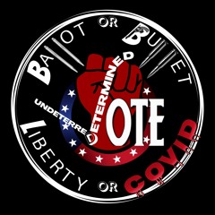 Amazing REFORM V. R Interview with Lawrence Ozel Little