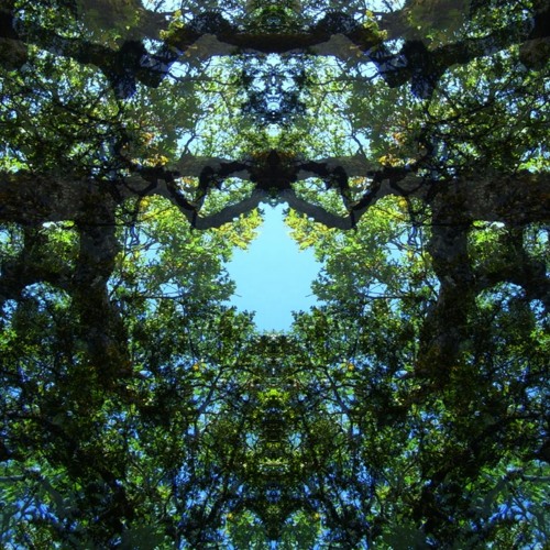 Morphous - PSYCHEDELIC AMBIENT TRANCE MINIMAL TECHNO PROGRESSIVE CHILLOUT - HD