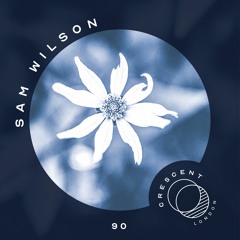 • Crescent Textures #90 • Sam Wilson