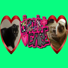 black cat white cat!