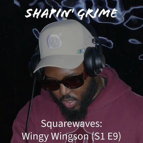 Squarewaves: Wingy Wingson (S1 E9)