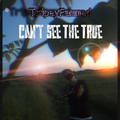 Trippey Fammed —Can’t See The True