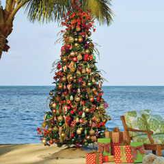 caraïbo-rockcoco variation sur Ô Tannenbaum