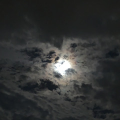 Antidote {prod. 1vvslove x bleyzeee x luxomea}