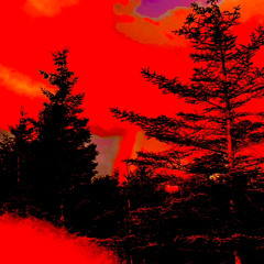 Ohmane! Feat. Chaponina! (prod.bleed)