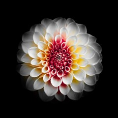 FirstLight(2021 Winter Remix)