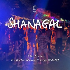 The Tribe Ecstatic Dance Live @Aum Koh Phangan 19.01.24