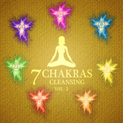 Solar Plexus Chakra (Manipura)