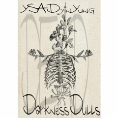 DarknessDulls