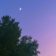 the girl with her heart on her sleeve