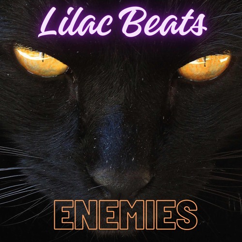 Enemies