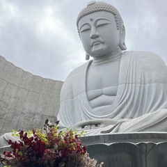 ༽ཇསཧ༠࿆པ༼
